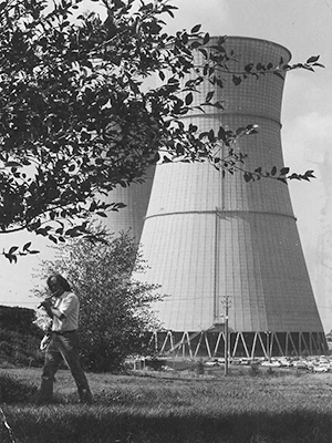 View of the Rancho Seco Nuclear Power Plant cooling towers, seen through tree branches.